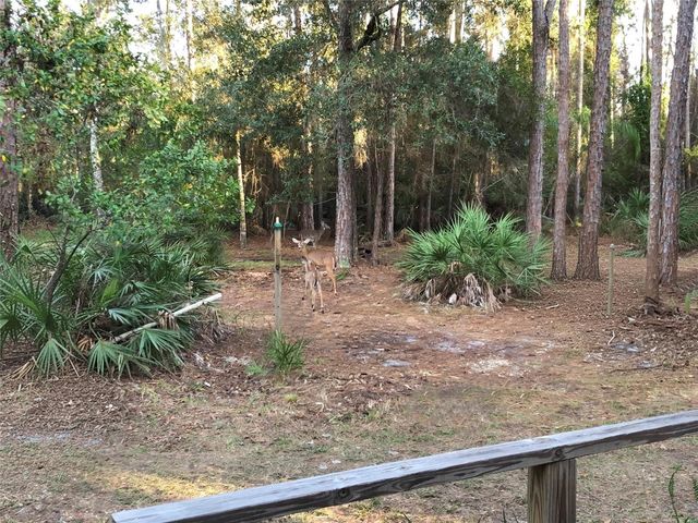 5125 MOORE STREET, St Cloud, FL 34771