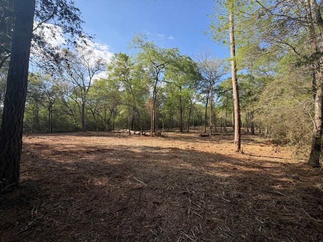 30505 N Walnut Creek Drive, Waller, TX 77484