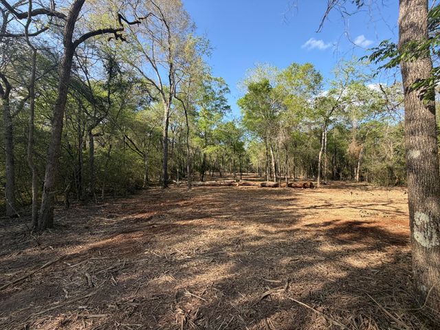 30505 N Walnut Creek Drive, Waller, TX 77484