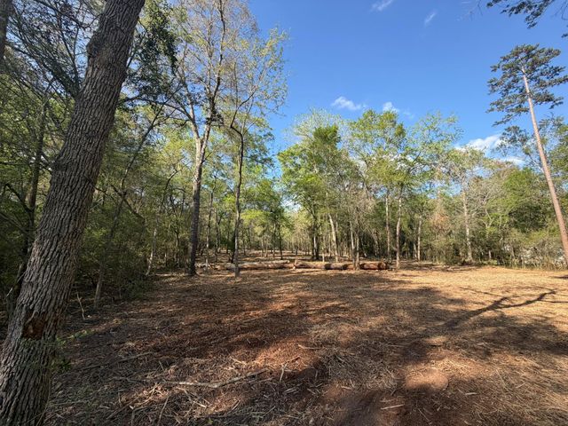 30505 N Walnut Creek Drive, Waller, TX 77484