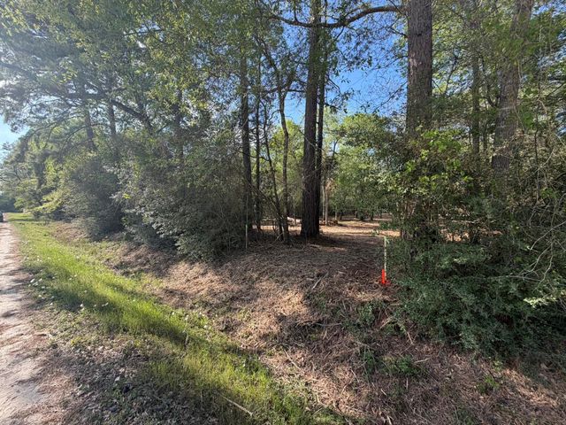 30505 N Walnut Creek Drive, Waller, TX 77484