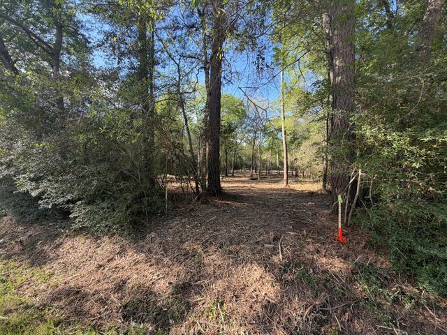 30505 N Walnut Creek Drive, Waller, TX 77484