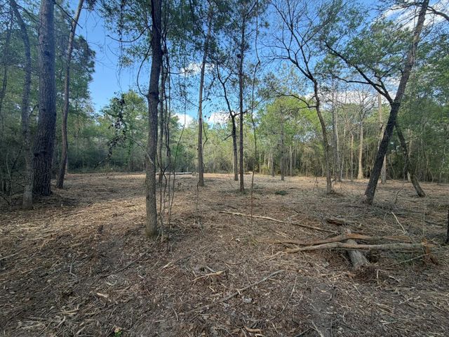 30505 N Walnut Creek Drive, Waller, TX 77484