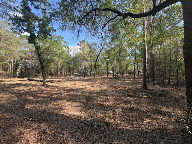 30505 N Walnut Creek Drive, Waller, TX 77484