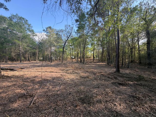 30505 N Walnut Creek Drive, Waller, TX 77484