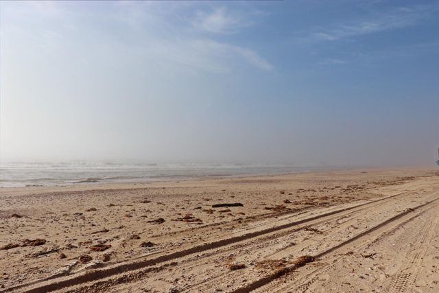 1075 Shady Lane, Gilchrist, TX 77617