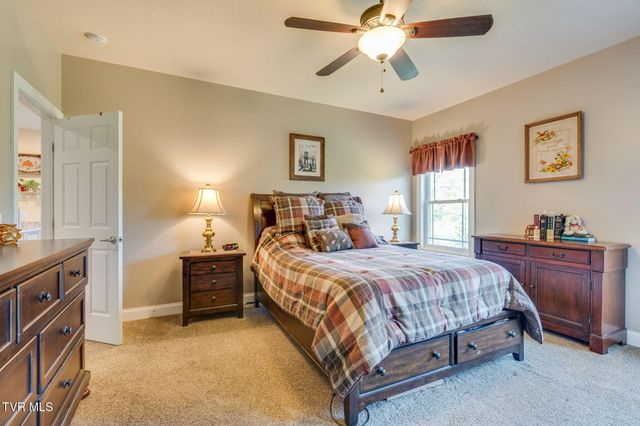 399 Carson Creek Road, Limestone, TN 37681