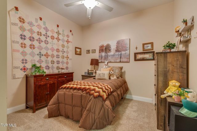 399 Carson Creek Road, Limestone, TN 37681