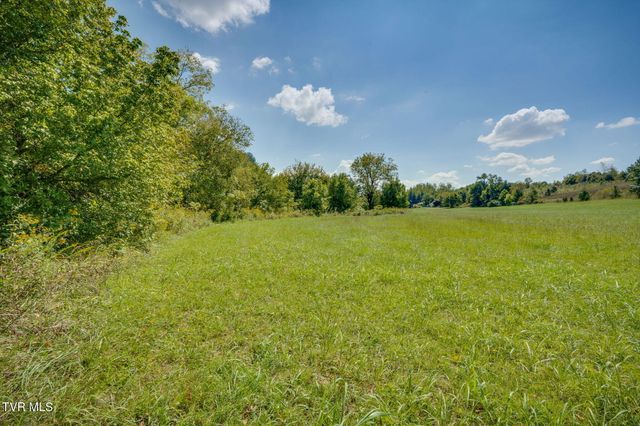 399 Carson Creek Road, Limestone, TN 37681