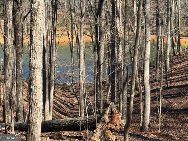 70 Geyser Court, Ranger, GA 30734