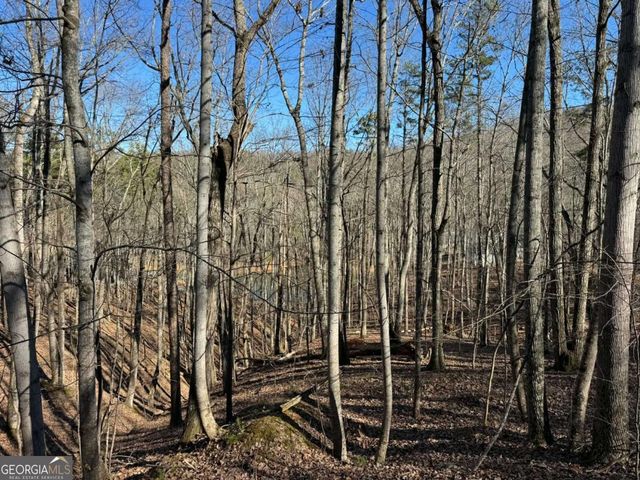 70 Geyser Court, Ranger, GA 30734