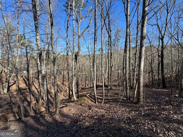 70 Geyser Court, Ranger, GA 30734