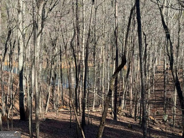 70 Geyser Court, Ranger, GA 30734