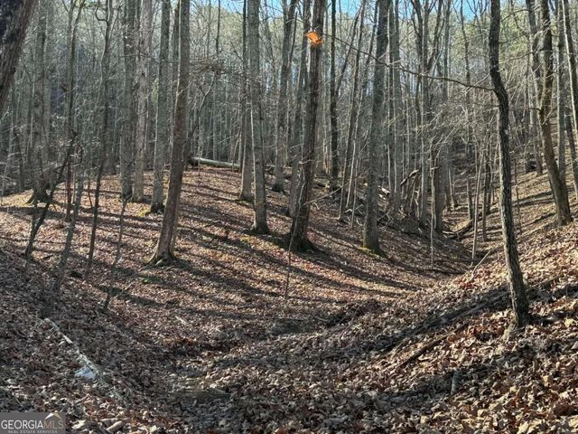 70 Geyser Court, Ranger, GA 30734