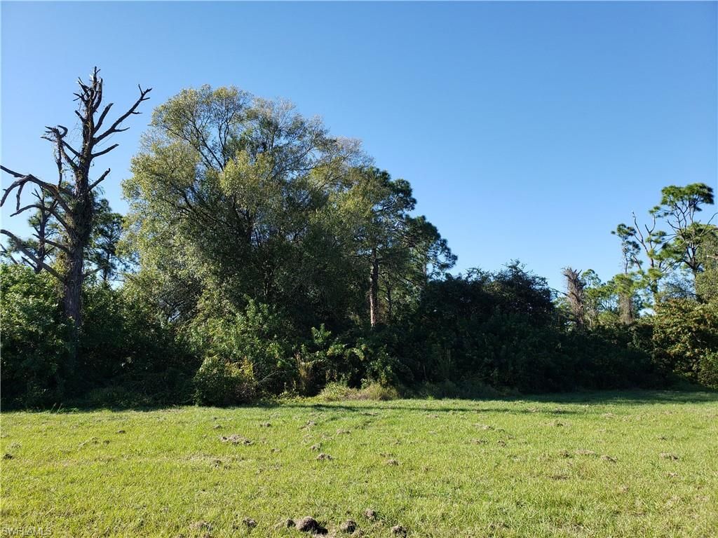 647 Naples AVE, LEHIGH ACRES, FL 33974 — photo 5