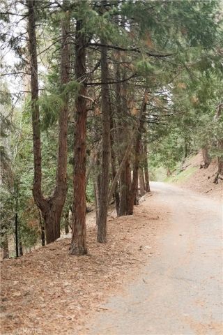 0 Pioneer, Lake Arrowhead, CA 92352