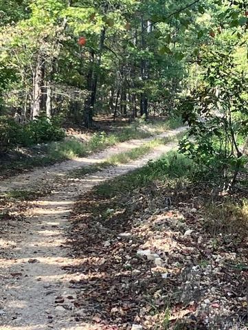 188 Madison CR 410, Fredericktown, MO 63645