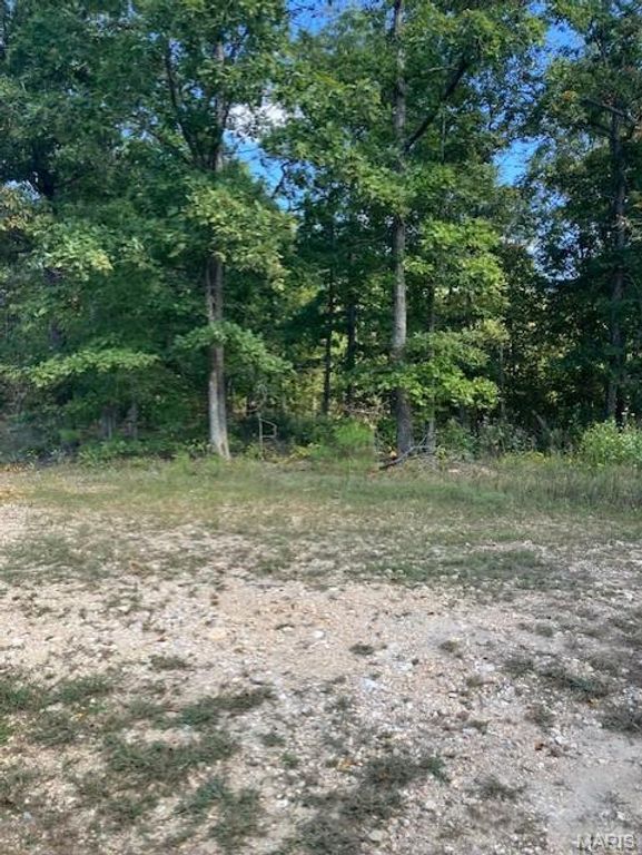 188 Madison CR 410, Fredericktown, MO 63645