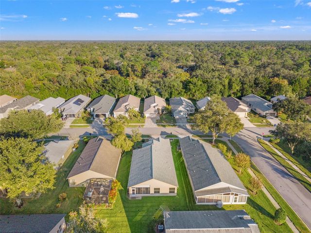 18041 WEBSTER GROVE DRIVE, Hudson, FL 34667