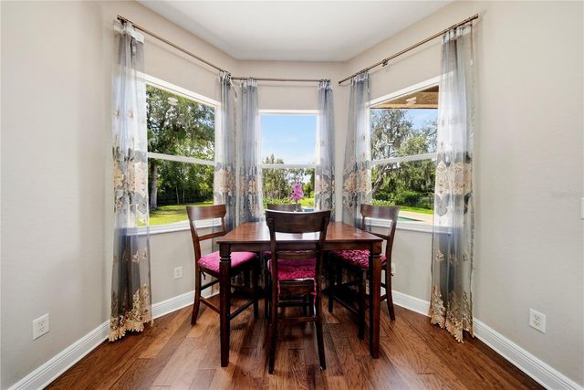 9244 RHEA DRIVE, Odessa, FL 33556