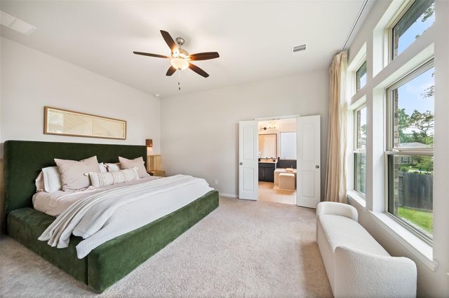 531 Carina Gaze Drive, Willis, TX 77318