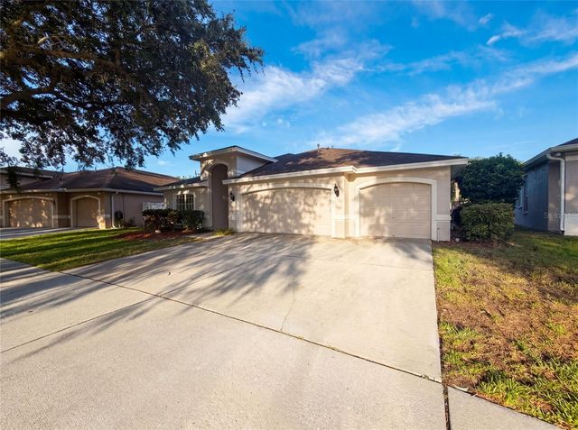 19606 MORDEN BLUSH DRIVE, Lutz, FL 33558
