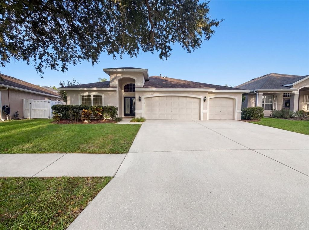 19606 MORDEN BLUSH DRIVE, Lutz, FL 33558