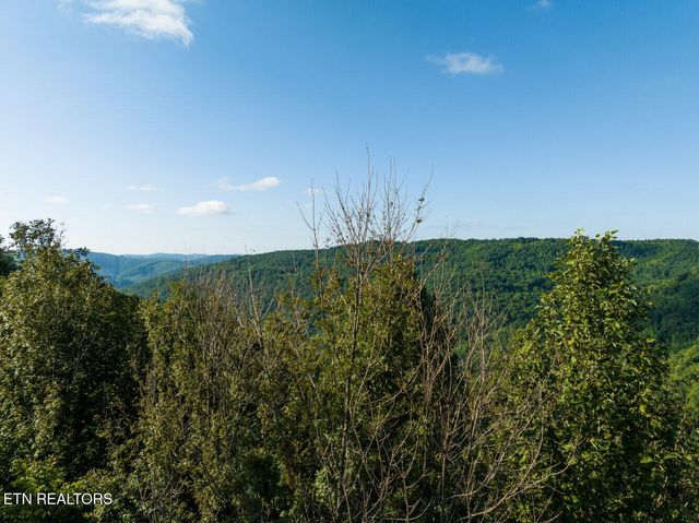 816 Sand Gap Rd, Pioneer, TN 37847