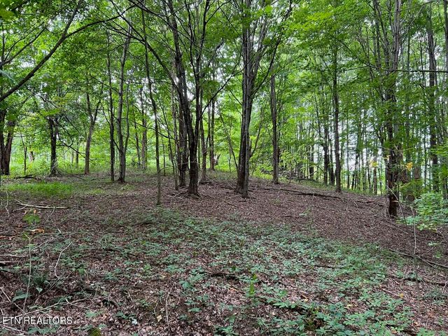 816 Sand Gap Rd, Pioneer, TN 37847