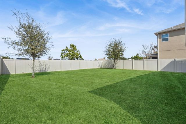 1985 MOUNTAIN PINE STREET, Ocoee, FL 34761