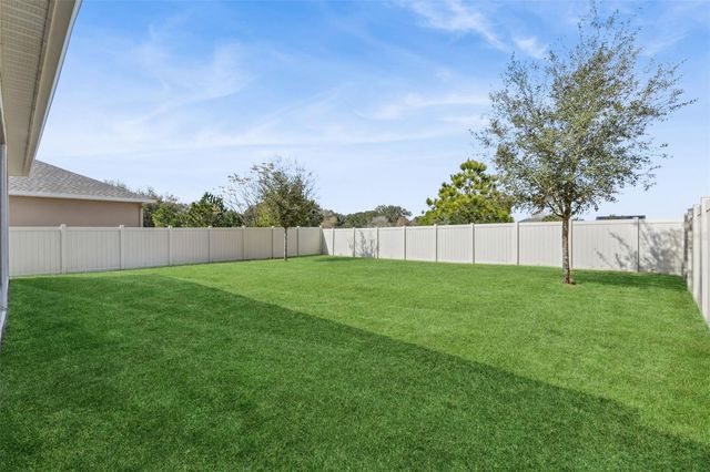 1985 MOUNTAIN PINE STREET, Ocoee, FL 34761