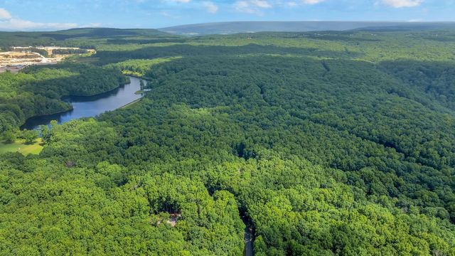 1637 Clifftops Ave, Monteagle, TN 37356