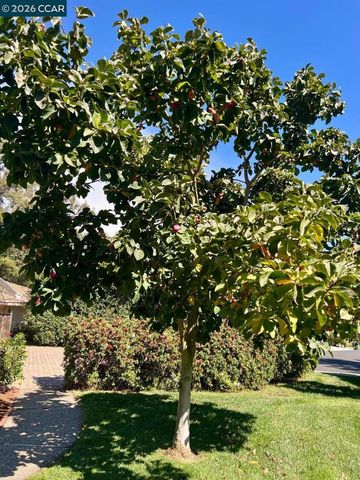 3151 La Playa Ct, Lafayette, CA 94549