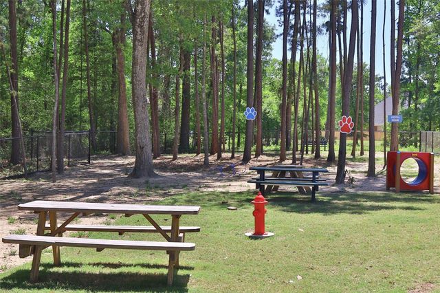 1132 Beals Creek Street, Conroe, TX 77304