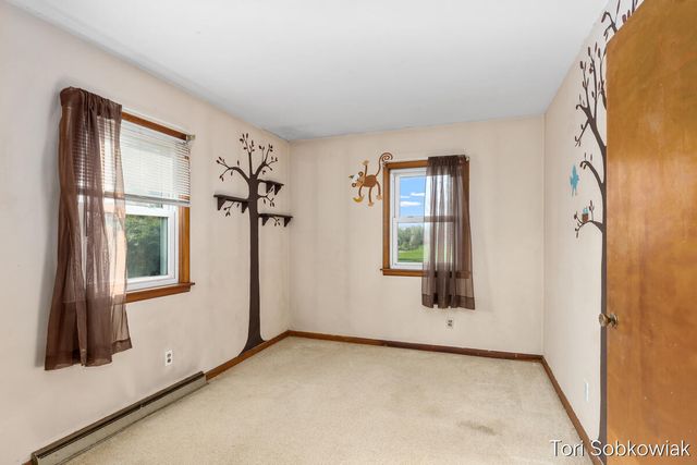 4919 S Green Avenue, Fremont, MI 49412