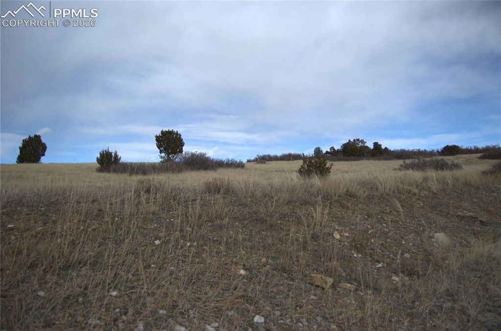 Rosemoore Drive, Colorado City, CO 81069 — exterior