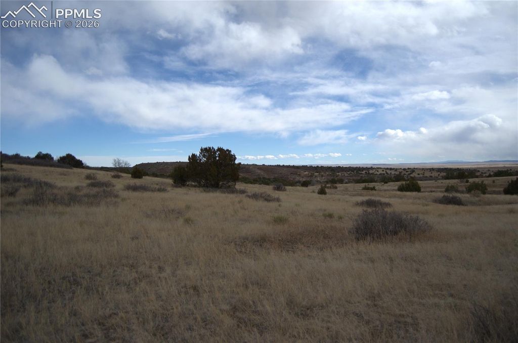 Rosemoore Drive, Colorado City, CO 81069 — photo 4