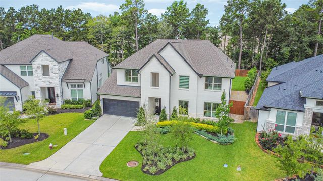 145 Sweeping Valley Drive, Montgomery, TX 77316