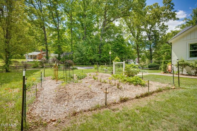 911 Woodland Avenue, Johnson City, TN 37601