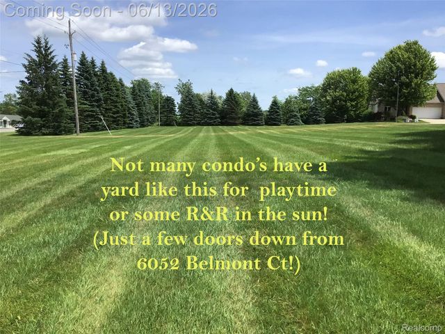 6052 Belmont Court, Grand Blanc Charter Township, MI 48439