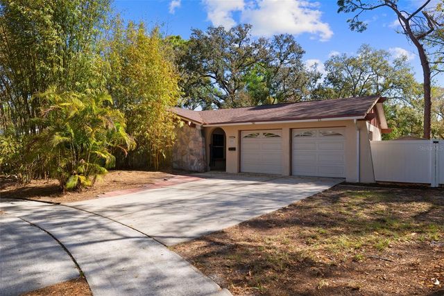 6701 LARIMER DRIVE, Tampa, FL 33615