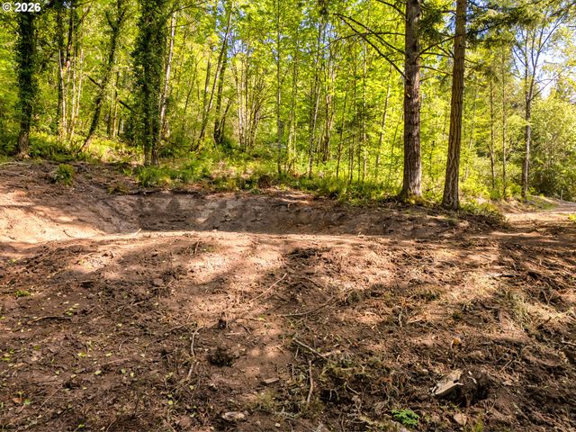 147 Old Spreadborough Rd, Kalama, WA 98625