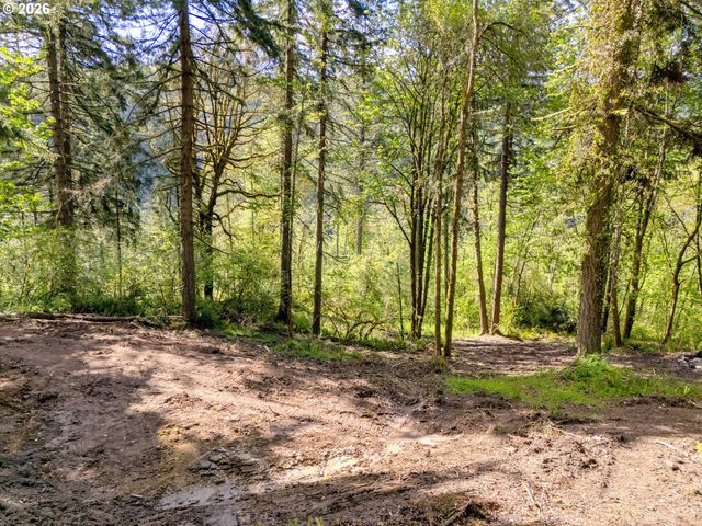 147 Old Spreadborough Rd, Kalama, WA 98625
