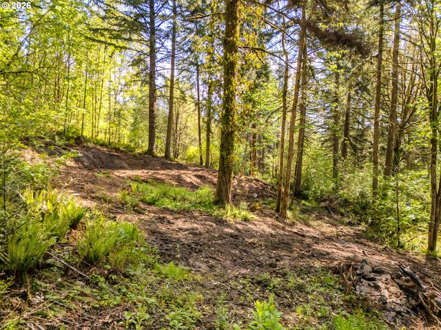 147 Old Spreadborough Rd, Kalama, WA 98625