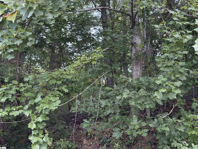 100 Cottage Side Trail, Travelers Rest, SC 29690