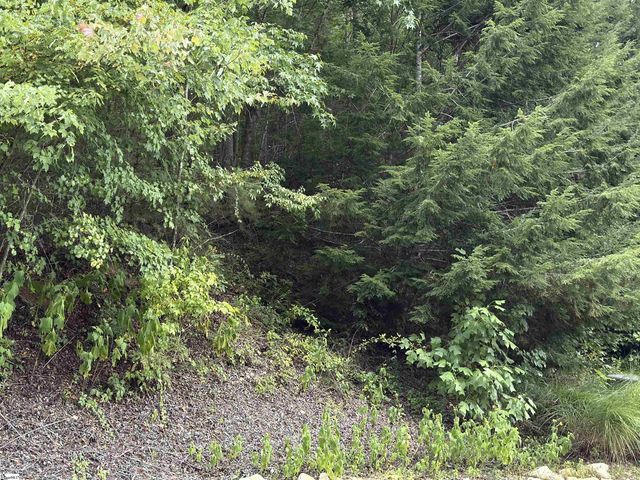 100 Cottage Side Trail, Travelers Rest, SC 29690