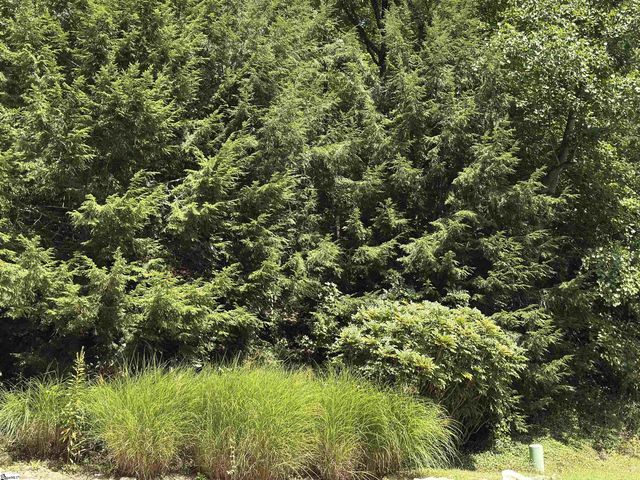 100 Cottage Side Trail, Travelers Rest, SC 29690