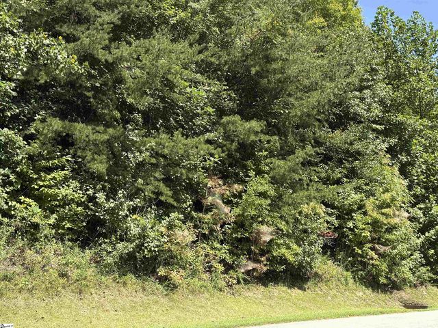 100 Cottage Side Trail, Travelers Rest, SC 29690