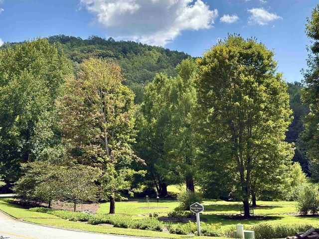 100 Cottage Side Trail, Travelers Rest, SC 29690