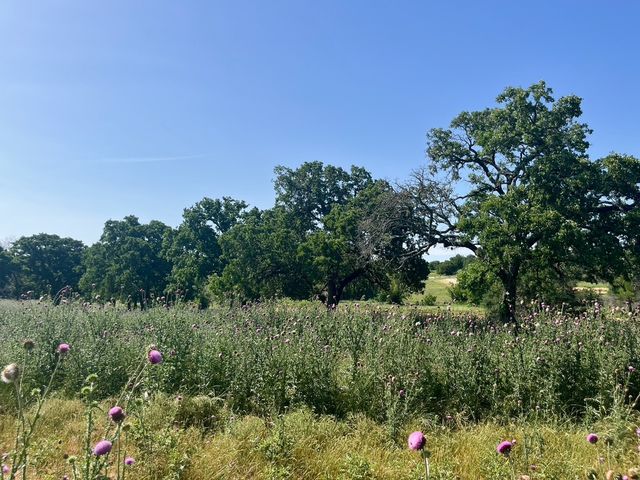 Lot 69 Kilkenny Road, Poolville, TX 76487